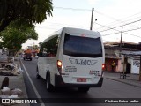LMC 8317059 na cidade de Manaus, Amazonas, Brasil, por Cristiano Eurico Jardim. Número da foto: #12358256.