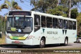 Viação Falcão RJ 179.011 na cidade de Resende, Rio de Janeiro, Brasil, por Paulo Henrique Pereira Borges. Número da foto: #12359496.