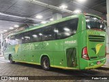 Pássaro Verde 15132 na cidade de Belo Horizonte, Minas Gerais, Brasil, por Pedro Castro. Número da foto: #:id.