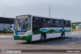 Pioneira Transportes 1030 na cidade de Cascavel, Paraná, Brasil, por Carlos Campos. Número da foto: #12360488.