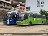 Pássaro Verde 1049 na cidade de Manhumirim, Minas Gerais, Brasil, por Paulo Eller. Número da foto: #12362211.