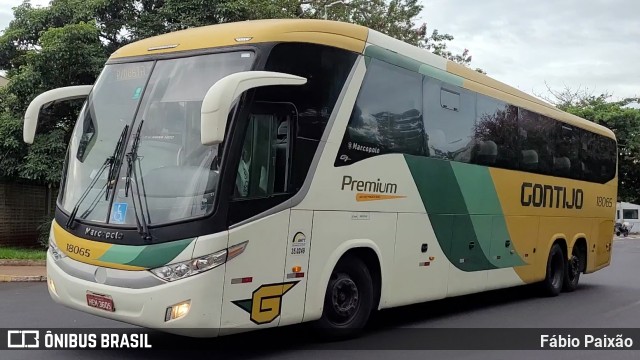 Empresa Gontijo de Transportes 18065 na cidade de Ribeirão Preto, São Paulo, Brasil, por Fábio Paixão. Número da foto: #12362708.