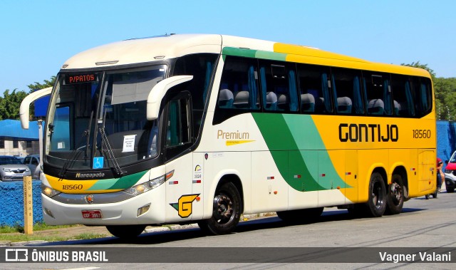 Empresa Gontijo de Transportes 18560 na cidade de São Paulo, São Paulo, Brasil, por Vagner Valani. Número da foto: #12364809.