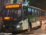Viação Nossa Senhora de Lourdes B58084 na cidade de Rio de Janeiro, Rio de Janeiro, Brasil, por Gabriel Petersen Gomes. Número da foto: #12363487.