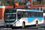 Capiata S.R.L. - Linea 53 y 58 164 na cidade de San Lorenzo, Central, Paraguai, por José Paredes. Número da foto: #12367402.