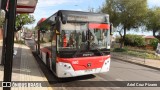 STU Santiago Transporte Urbano SPRV81 na cidade de Puente Alto, Cordillera, Metropolitana de Santiago, Chile, por Ariel Cruz Pizarro. Número da foto: #12301517.