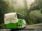 Caribeños 00 na cidade de San José, Costa Rica, por Sebas Gamboa. Número da foto: #12299308.