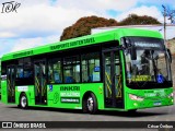Coletivos São Lucas 11384 na cidade de Belo Horizonte, Minas Gerais, Brasil, por César Ônibus. Número da foto: #12300534.