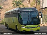 Pássaro Verde 24185 na cidade de Ponte Nova, Minas Gerais, Brasil, por Samuel Tomás de Souza. Número da foto: #12368081.