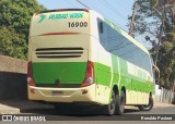 Pássaro Verde 16900 na cidade de São Carlos, São Paulo, Brasil, por Ronaldo Pastore. Número da foto: #:id.