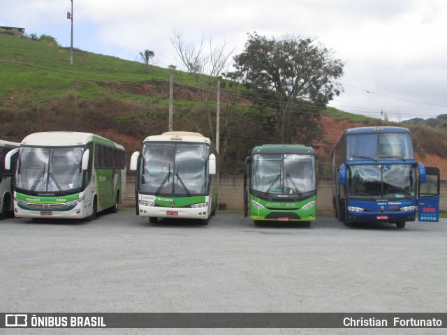 Pássaro Verde 2010 na cidade de Viçosa, Minas Gerais, Brasil, por Christian  Fortunato. Número da foto: #12304822.