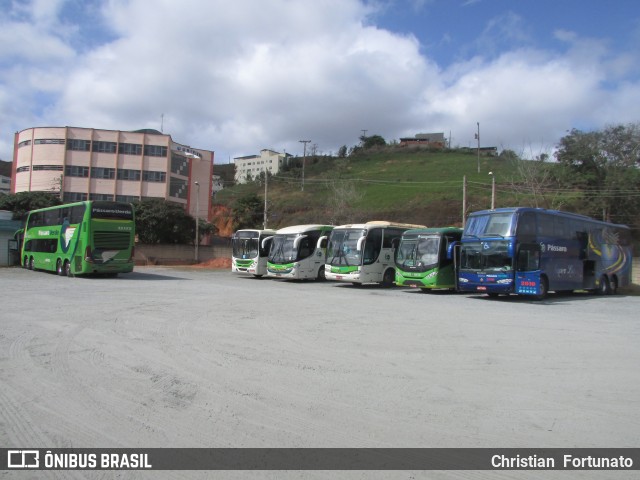 Pássaro Verde 2010 na cidade de Viçosa, Minas Gerais, Brasil, por Christian  Fortunato. Número da foto: #12304840.