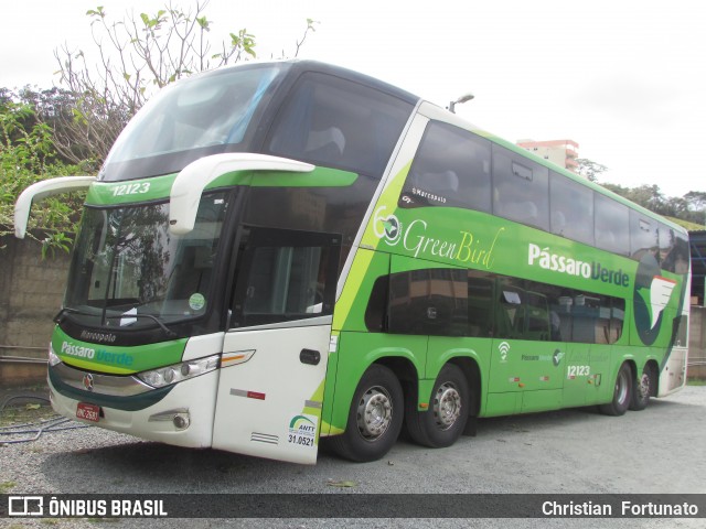 Pássaro Verde 12123 na cidade de Viçosa, Minas Gerais, Brasil, por Christian  Fortunato. Número da foto: #12304829.
