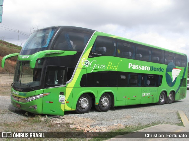 Pássaro Verde 12122 na cidade de Viçosa, Minas Gerais, Brasil, por Christian  Fortunato. Número da foto: #12304854.
