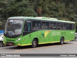 Pássaro Verde 15123 na cidade de Viçosa, Minas Gerais, Brasil, por Christian  Fortunato. Número da foto: #:id.