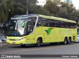 Pássaro Verde 24185 na cidade de Viçosa, Minas Gerais, Brasil, por Christian  Fortunato. Número da foto: #:id.