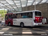 Auto Viação Transcap >> Auto Bless Transportes 8 5003 na cidade de São Paulo, São Paulo, Brasil, por Luccas Eme. Número da foto: #12304043.