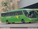 Pássaro Verde 1050 na cidade de Ponte Nova, Minas Gerais, Brasil, por Samuel Tomás de Souza. Número da foto: #12303274.