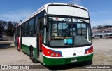 Autobuses sin identificación - Argentina  na cidade de Ingeniero Maschwitz, Escobar, Buenos Aires, Argentina, por Jackson Sousa Leite. Número da foto: #12303202.
