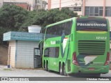 Pássaro Verde 12122 na cidade de Viçosa, Minas Gerais, Brasil, por Christian  Fortunato. Número da foto: #12304818.