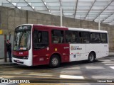 Auto Viação Transcap >> Auto Bless Transportes 8 5003 na cidade de São Paulo, São Paulo, Brasil, por Luccas Eme. Número da foto: #12304040.