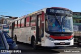 Transportes Campo Grande D53508 na cidade de Rio de Janeiro, Rio de Janeiro, Brasil, por Gabriel Conceição. Número da foto: #12302107.