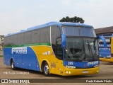 Fergramon Transportes 295 na cidade de Curitiba, Paraná, Brasil, por Paulo Roberto Chulis. Número da foto: #12307603.