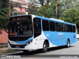 Cidade das Hortênsias 3019 na cidade de Petrópolis, Rio de Janeiro, Brasil, por Rafael da Silva Xarão. Número da foto: #:id.