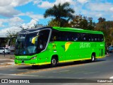 Pássaro Verde 23184 na cidade de Formiga, Minas Gerais, Brasil, por Gabriel Leal. Número da foto: #:id.