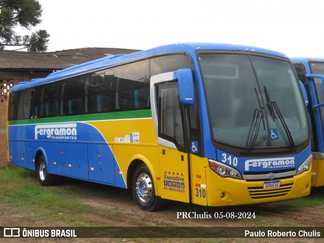 Fergramon Transportes 310 na cidade de Curitiba, Paraná, Brasil, por Paulo Roberto Chulis. Número da foto: #12309506.