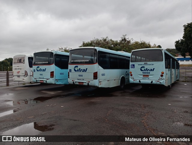 Citral Transporte e Turismo 10050 na cidade de Novo Hamburgo, Rio Grande do Sul, Brasil, por Mateus de Oliveira Fernandes. Número da foto: #12308095.