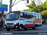 Auto Viação Urubupungá 5110 na cidade de São Paulo, São Paulo, Brasil, por Andrew Campos. Número da foto: #12309883.
