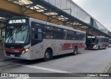 Transwolff Transportes e Turismo 7 8224 na cidade de São Paulo, São Paulo, Brasil, por Cleber C.  Moreira. Número da foto: #12309617.