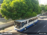 Via Loc BJ-99806 na cidade de Belém, Pará, Brasil, por Erwin Di Tarso. Número da foto: #:id.