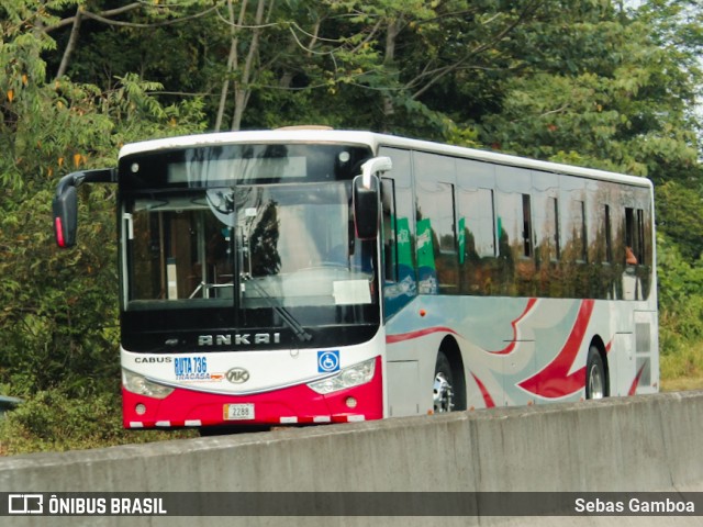 Tracasa 00 na cidade de Rio Blanco: Liverpool, Limón, Limón, Costa Rica, por Sebas Gamboa. Número da foto: #12310778.