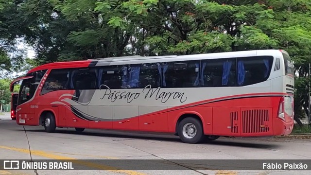 Empresa de Ônibus Pássaro Marron 5816 na cidade de São Paulo, São Paulo, Brasil, por Fábio Paixão. Número da foto: #12310636.