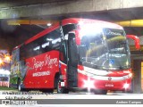 Empresa de Ônibus Pássaro Marron 5960 na cidade de São Paulo, São Paulo, Brasil, por Andrew Campos. Número da foto: #:id.