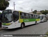 Viação Penedo RJ 213.003 na cidade de Resende, Rio de Janeiro, Brasil, por Hélio  Teodoro. Número da foto: #:id.