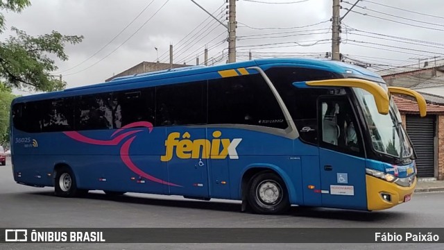 Rápido Expresso Fênix Viação 36025 na cidade de São Paulo, São Paulo, Brasil, por Fábio Paixão. Número da foto: #12317296.