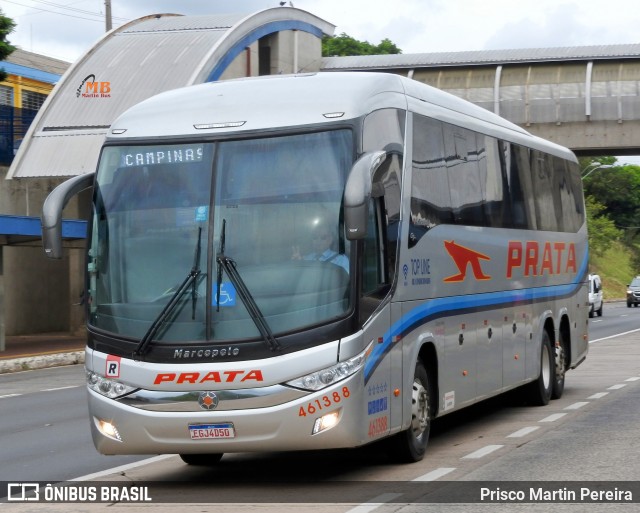 Expresso de Prata 461388 na cidade de Campinas, São Paulo, Brasil, por Prisco Martin Pereira. Número da foto: #12315095.