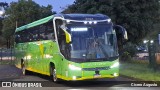 Pássaro Verde 23184 na cidade de Ribeirão Preto, São Paulo, Brasil, por Cicero Augusto. Número da foto: #12315332.