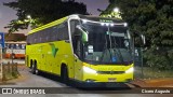 Pássaro Verde 24185 na cidade de Ribeirão Preto, São Paulo, Brasil, por Cicero Augusto. Número da foto: #12315340.