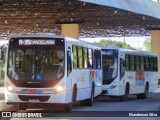 Transnacional Transportes Urbanos 08095 na cidade de Natal, Rio Grande do Norte, Brasil, por Elianderson Silva. Número da foto: #12315884.