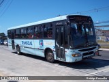 Transcal Sul Transportes Coletivos 24116 na cidade de Gravataí, Rio Grande do Sul, Brasil, por Rodrigo Koscolka. Número da foto: #12315648.