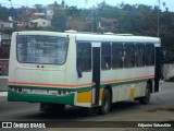 Ônibus Particulares 8533 na cidade de Nazaré da Mata, Pernambuco, Brasil, por Edjunior Sebastião. Número da foto: #12373100.