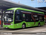 Transwolff Transportes e Turismo 7 8780 na cidade de São Paulo, São Paulo, Brasil, por Hipólito Rodrigues. Número da foto: #:id.