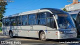 Transporte Coletivo Glória BL307 na cidade de Curitiba, Paraná, Brasil, por Lucas Weber Calizario. Número da foto: #12372915.