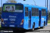Biguaçu Transportes Coletivos Administração e Participação 1202 na cidade de Florianópolis, Santa Catarina, Brasil, por Renato de Aguiar. Número da foto: #:id.