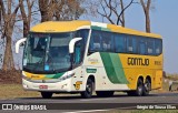Empresa Gontijo de Transportes 18695 na cidade de Porto Ferreira, São Paulo, Brasil, por Sérgio de Sousa Elias. Número da foto: #12374347.