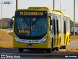 Viação Pioneira 234117 na cidade de Brasília, Distrito Federal, Brasil, por Ygor Busólogo. Número da foto: #12374857.